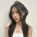 정다은미용실