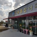 대풍장어 티스토리