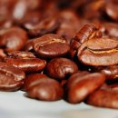 Coffee Doctor 이미지