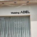 아델헤어(ADEL hair) | 대구 드레스투어 첫 피팅 후기, 아델웨딩에서 느낀 현실 (견적공유)