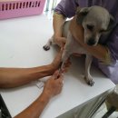 이성준동물병원 이미지