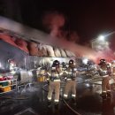 대구축산 이미지