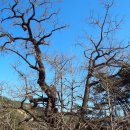 덕산온천24시불가마 | [100대 명산] 영동 천태산-영국사