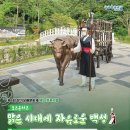 제4회 포항 장기유배문화제 이미지