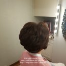 헤어피카소 이미지