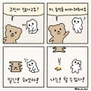 레이저태그 이미지