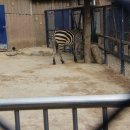 달성공원 이미지