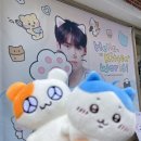 Hello Kitten 이미지