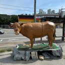 광릉정육식당 이미지