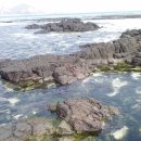 달카페&레스토랑 이미지