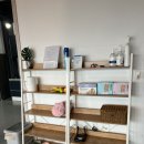 뚱새스테이 이미지