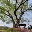 무장2리 마을회관 이미지