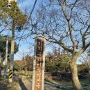 제주올레공인중개사사무소 이미지