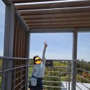 대신공원 숲길 | [제주여행]​아이와 함께 걷기 좋은 제주 숲길, "곶자왈 도립공원" 방문 후기