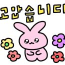 더 클래식 양산 이미지