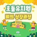 호돌유치원 이미지