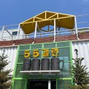 서울 근교 경기 김포 식물 브런치 감성 카페 55갤런 후기