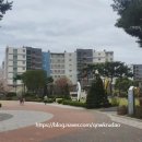 고양하나로약국 이미지