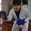 연세대 민족 태권도 이미지