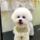 편한미용 이미지