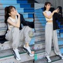 핏라이즈 이미지