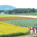 성읍리-23 이미지