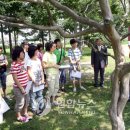 황성공원 이미지