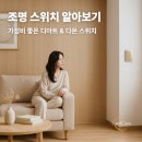 다온PC | 가격에 디자인까지 잡은 가성비 스위치 소개 : 디아트 스위치 &amp; 다온 스위치