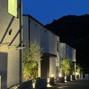 춘천스테이 이미지