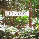 왕궁포레스트 이미지