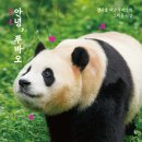 디자인다락 이미지