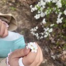 삼락강변공원 이미지