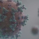 박수연소아청소년과의원 이미지