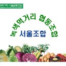 녹색먹거리 서울협동조합 로고 및 캐릭터 이미지