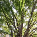 월미로189번길 이미지