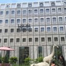 금호강변(롯데앞) 이미지