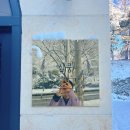 심쿵플레이스 이미지