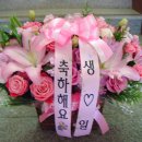 고산한결치과 이미지