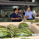 진안농협 하나로마트 이미지