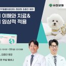 안 수의과병원 이미지