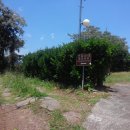 연동연대 이미지