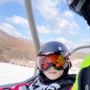 무주 스키강습 타자고 후기, 무주스키장에서 차근차근 배운 시간