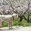 엄마의아침 이미지