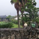 평대41번가 이미지