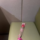 엔도웍 | 임시저장만 주구장창 한게 아까워서 올리는 글,,,