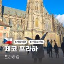 소로3-950 | 체코 프라하 여행 프라하성 성당 입장료 자유여행 관람포인트