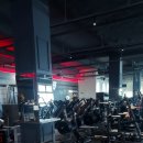 머슬피플 이미지