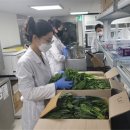 광주젓갈백화점