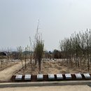 포천시산림조합임산물유통센터 이미지