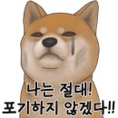 스시쿄다이 이미지